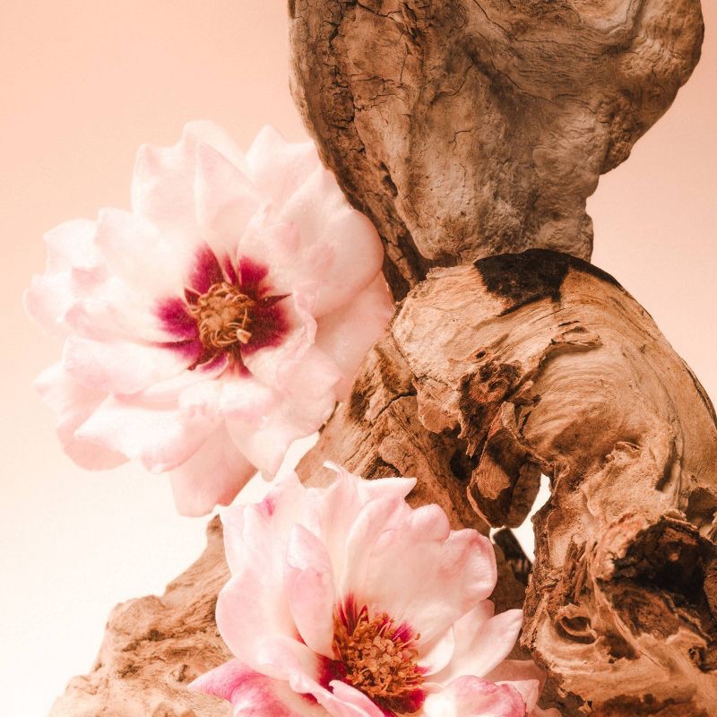 slide 5 of 8, Saltair Santal Bloom Instant Shine Hair Gloss Rinse, 1 ct