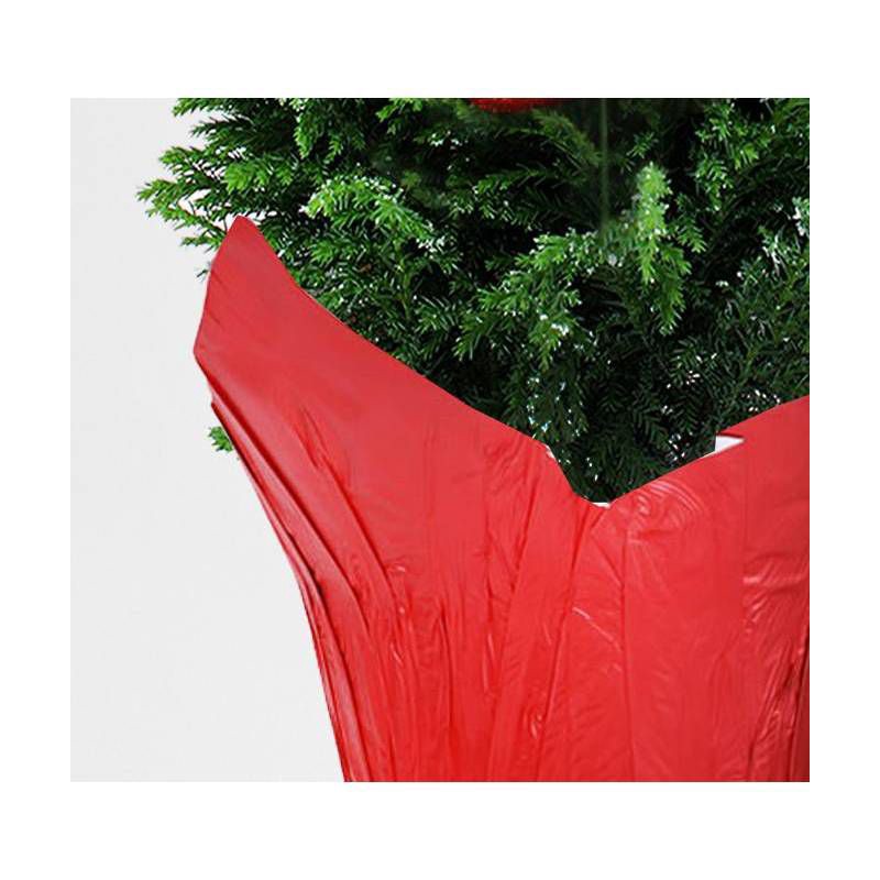 slide 2 of 3, 4" European Tree - Good Little Garden™, 1 ct