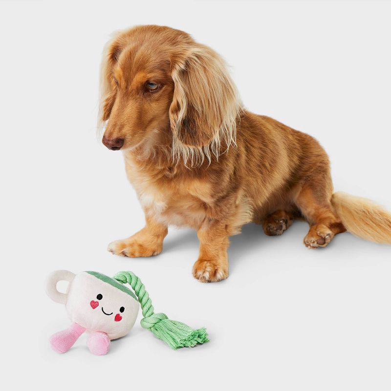 slide 2 of 3, 11.7" Matcha Plush Rope Dog Toy - Boots & Barkley™, 1 ct