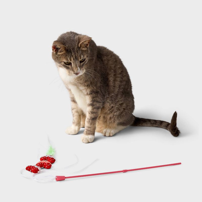 slide 2 of 3, Strawberry Wand Cat Toy - Boots & Barkley™, 1 ct
