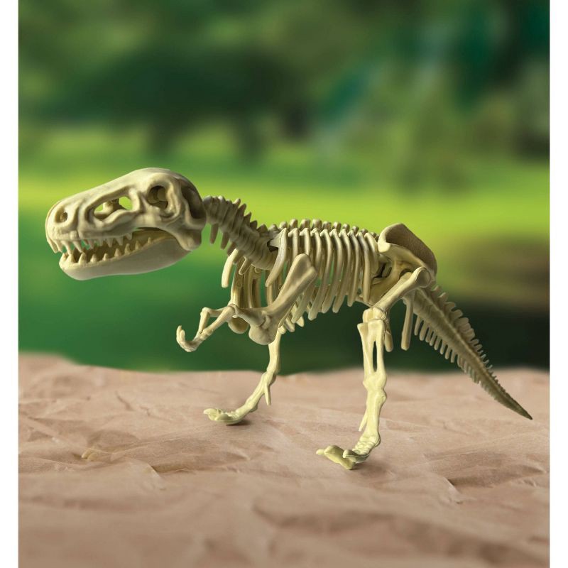 slide 3 of 6, Smithsonian Dinosaur Fossils, 1 ct