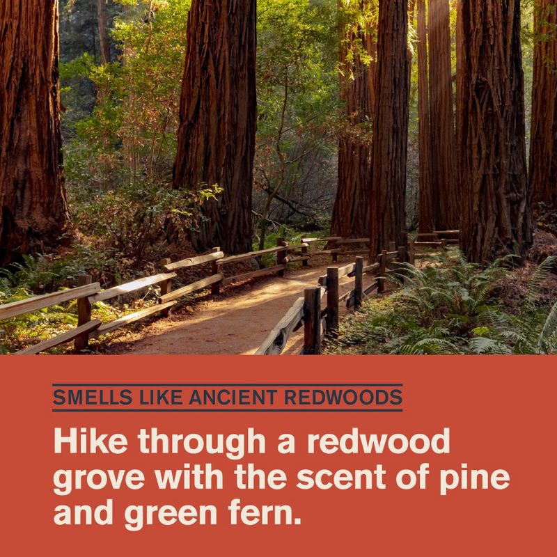 slide 3 of 7, Every Man Jack 48-Hour Odor Defense Deodorant - Aluminum-Free - Redwood Forest - 2.6oz, 2.6 oz