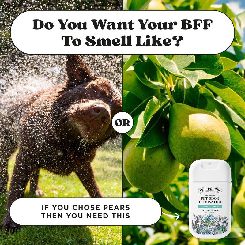 slide 9 of 12, Poo-Pourri Pet~Pourri Deck the Paws Holiday Gift Set - 2pk, 2 ct