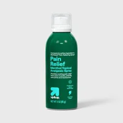 Pain Relieving Spray - 3 fl oz - up&up™
