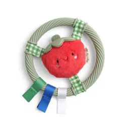 Itzy Ritzy Ring Pal Baby Teether - Tomato