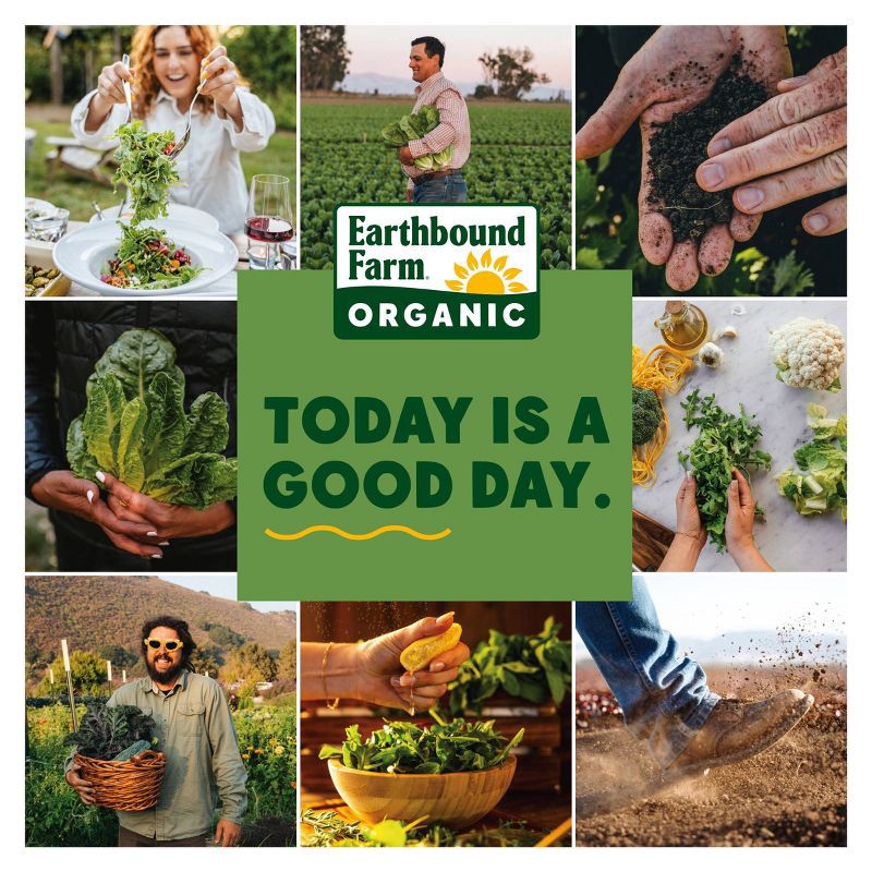 slide 3 of 3, Taylor Farms Fresh Cut Sweet Potato - 16oz, 16 oz