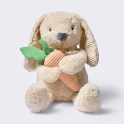 Bunny Plush Stuffed Animal Toy with Detachable Rattle - Cloud Island™