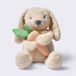 Bunny Plush Stuffed Animal Toy with Detachable Rattle - Cloud Island™