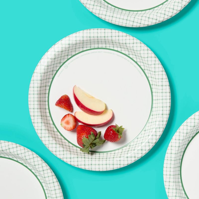 slide 2 of 3, Spring Disposable Plate - Plaid - 10" - 24ct - up&up™, 24 ct