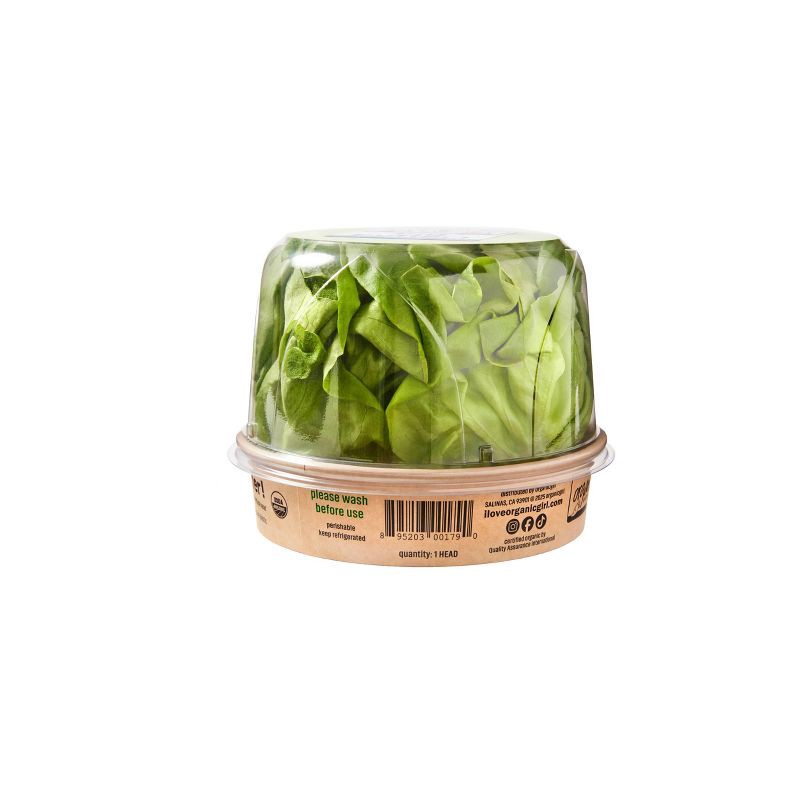 slide 4 of 4, organicgirl Big Butter! Green Lettuce Head - 10oz, 10 oz