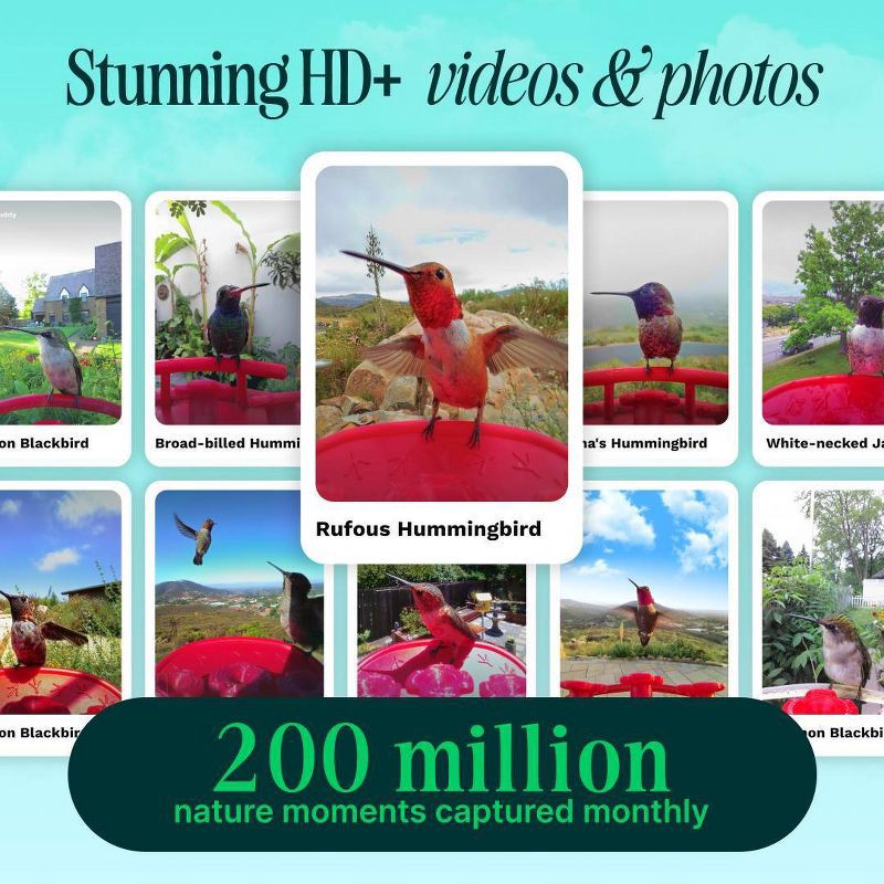 slide 4 of 8, Bird Buddy Smart Solar Pro Hummingbird Feeder with Camera + Extra Base, 1 ct