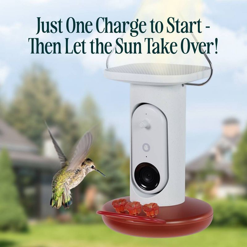 slide 6 of 8, Bird Buddy Smart Solar Pro Hummingbird Feeder with Camera + Extra Base, 1 ct