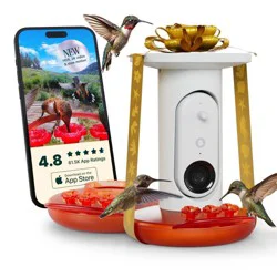 Bird Buddy Smart Solar Pro Hummingbird Feeder with Camera + Extra Base