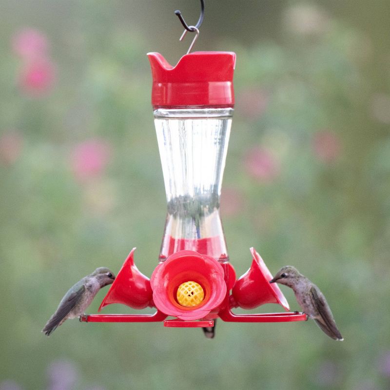 slide 2 of 12, Perky-Pet 8 oz Glass Pinch Waist Hummingbird Feeder - Red, 8 oz