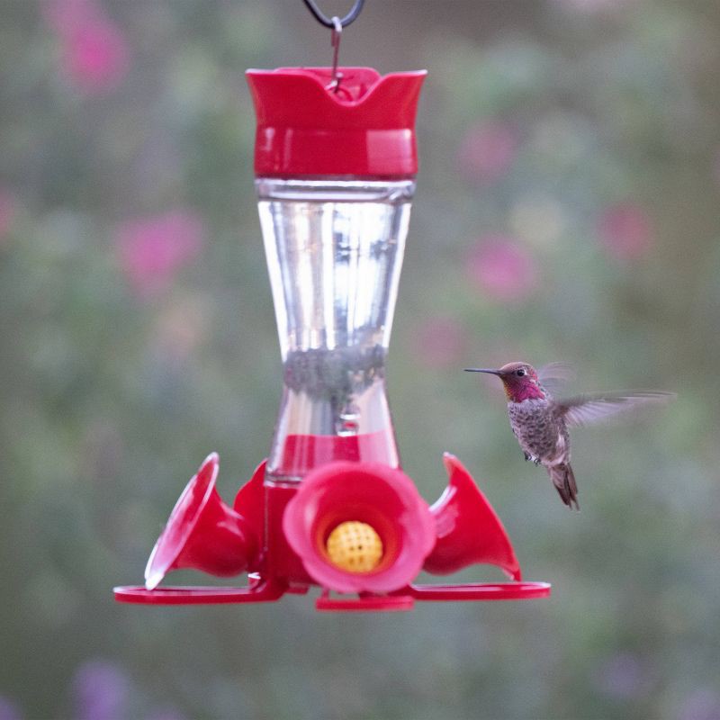 slide 3 of 12, Perky-Pet 8 oz Glass Pinch Waist Hummingbird Feeder - Red, 8 oz