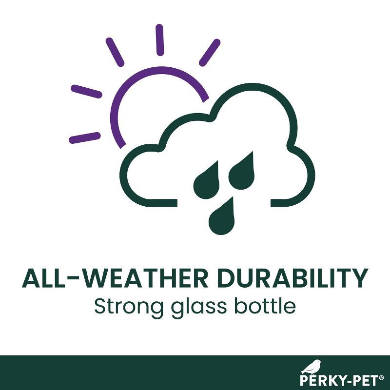 slide 12 of 12, Perky-Pet 8 oz Glass Pinch Waist Hummingbird Feeder - Red, 8 oz