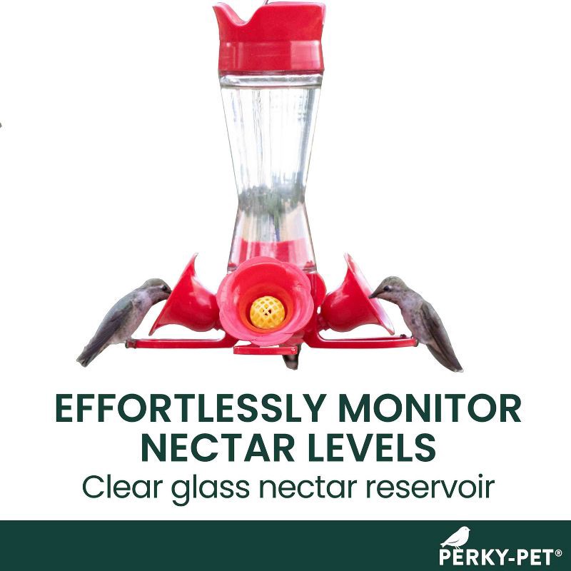 slide 11 of 12, Perky-Pet 8 oz Glass Pinch Waist Hummingbird Feeder - Red, 8 oz