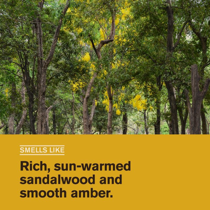 slide 3 of 10, Every Man Jack Body Wash - Sandalwood Teak - 28.8 fl oz, 28.8 fl oz