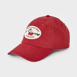 Valley Cherries Baseball Hat - Wild Fable™ Red