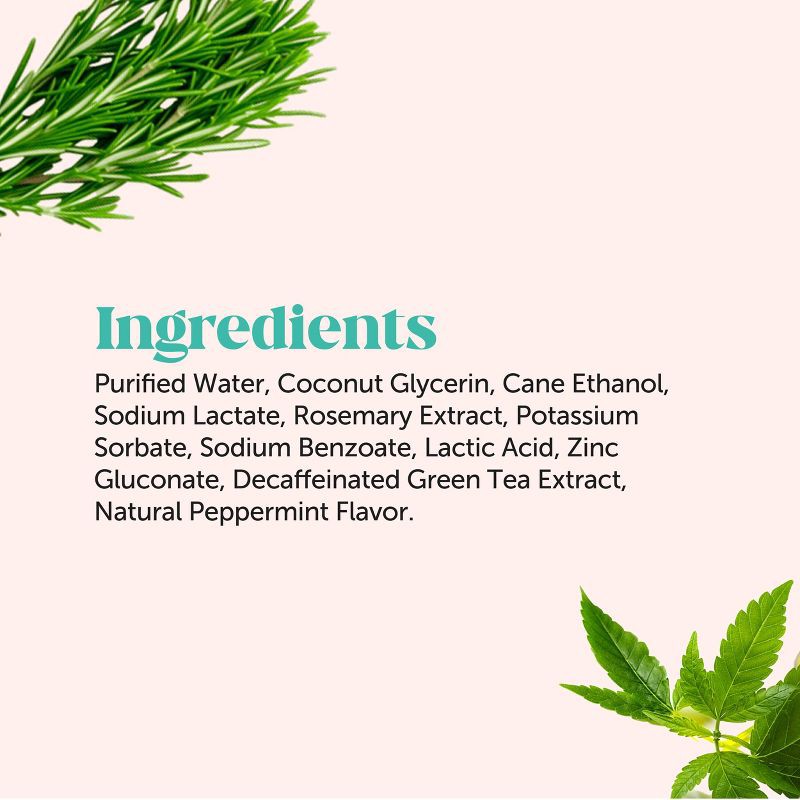 slide 8 of 9, Pet Honesty Mint Flavor Cat and Dog Dental Wipes - 30ct, 30 ct