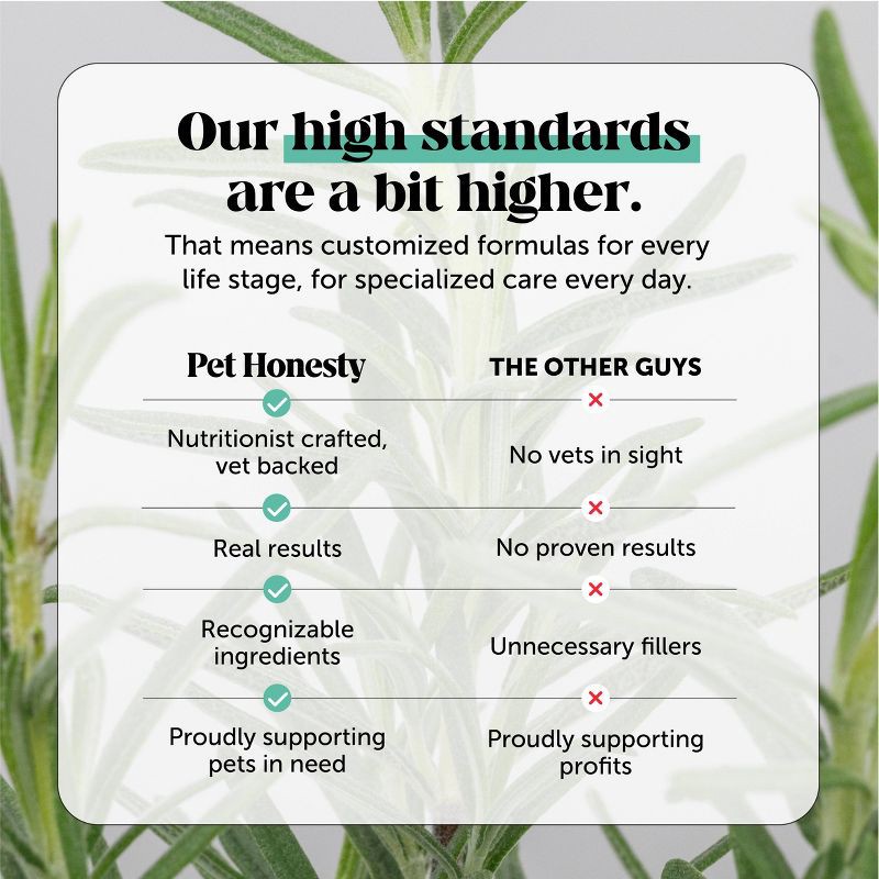 slide 9 of 9, Pet Honesty Mint Flavor Cat and Dog Dental Wipes - 30ct, 30 ct