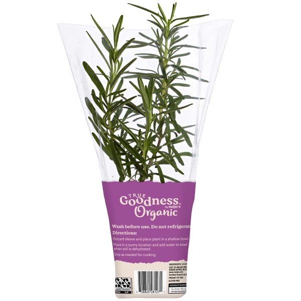 slide 2 of 5, True Goodness Organic Potted Rosemary 4", 4 in