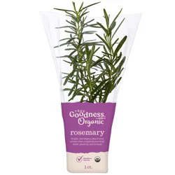 True Goodness Organic Potted Rosemary 4"