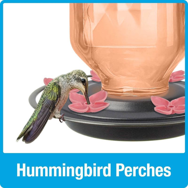 slide 5 of 5, Nature's Way Bird Products Antique Hummingbird Feeder Ombre 23 oz, 23 oz