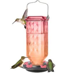 Nature's Way Bird Products Antique Hummingbird Feeder Ombre 23 oz