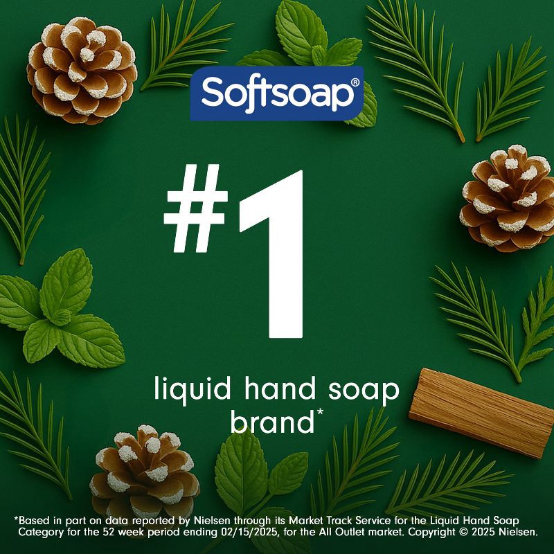 slide 5 of 8, Softsoap Holiday Seasonal Hand Soap - Winter Pine - 11.25oz, 11.25 oz
