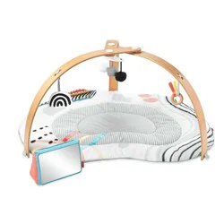 Skip Hop Discoverosity Play Gym