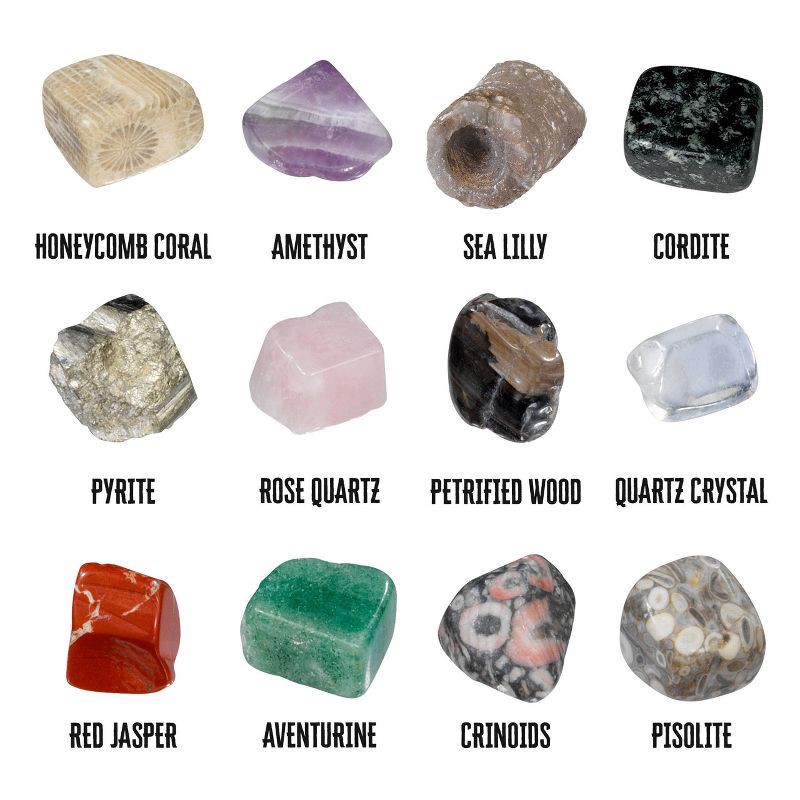 slide 4 of 6, Thames & Kosmos Dig It Single Packs Rocks & Fossils, 1 ct