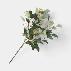 27" Seeded Willow Eucalyptus Stem - Threshold™