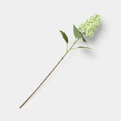 Green Hydrangea Branch - Threshold™