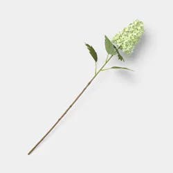 Green Hydrangea Branch - Threshold™