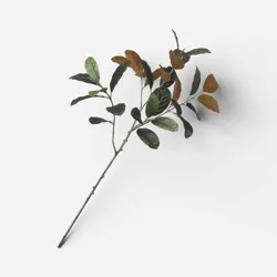 40" Magnolia Leaf Branch - Threshold™