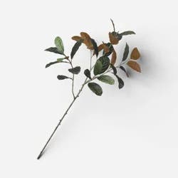 40" Magnolia Leaf Branch - Threshold™
