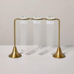 Hearth & Hand with Magnolia Brass and Glass Plant Propagation Vase Set - Hearth & Hand™ with Magnolia