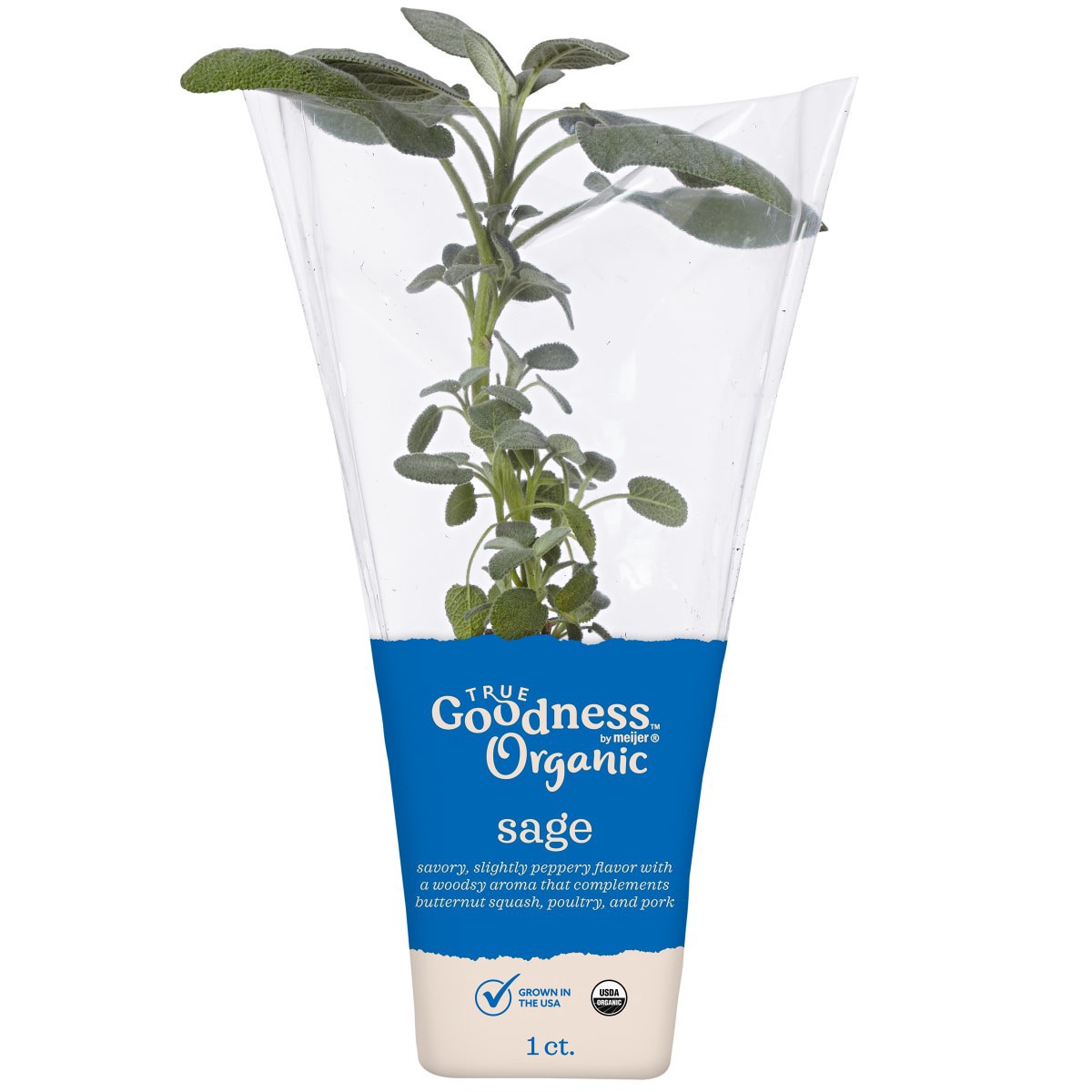 slide 1 of 5, True Goodness Organic Potted Sage 4", 4 in