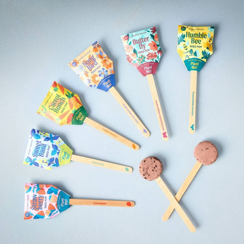 slide 9 of 14, Modern Sprout Basil Green Seed Starter Kit, 1 ct