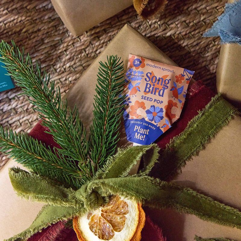 slide 14 of 24, Modern Sprout Wildflower Mix Song Bird Flower Seeds, 1 ct