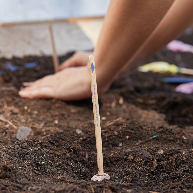 slide 15 of 24, Modern Sprout Wildflower Mix Song Bird Flower Seeds, 1 ct