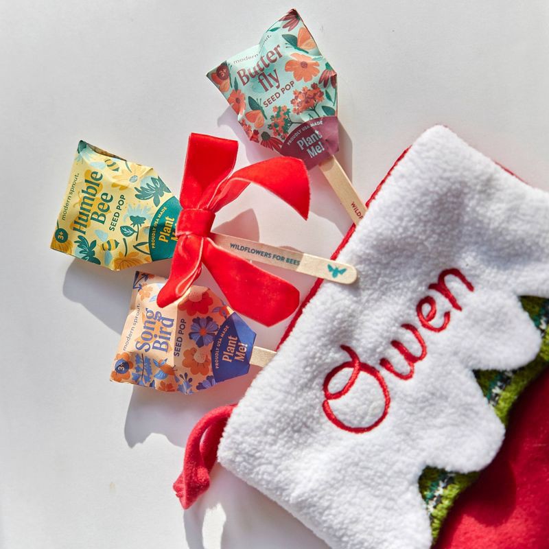 slide 18 of 24, Modern Sprout Wildflower Mix Song Bird Flower Seeds, 1 ct