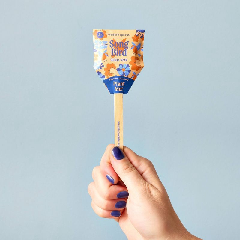 slide 4 of 24, Modern Sprout Wildflower Mix Song Bird Flower Seeds, 1 ct