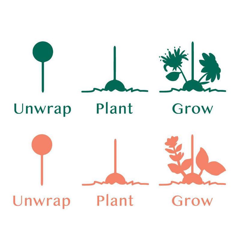 slide 22 of 24, Modern Sprout Wildflower Mix Song Bird Flower Seeds, 1 ct