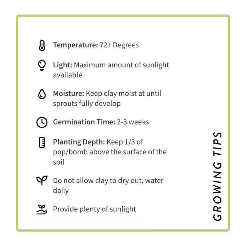slide 15 of 15, Modern Sprout Strawberry Seed Starter Kit, 1 ct