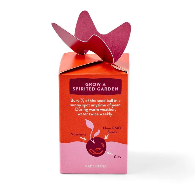 slide 4 of 8, Modern Sprout Mixed Arrangements Party Vibes Seed Bomb, 1 ct