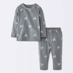 Baby Boys' 2pc Bike Graphic Raglan Long Sleeve T-Shirt and Pants Set - Cloud Island™ Charcoal Gray 24M