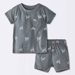 Baby Boys' 2pc Bike Graphic Raglan T-Shirt and Shorts Set - Cloud Island™ Charcoal Gray 12M