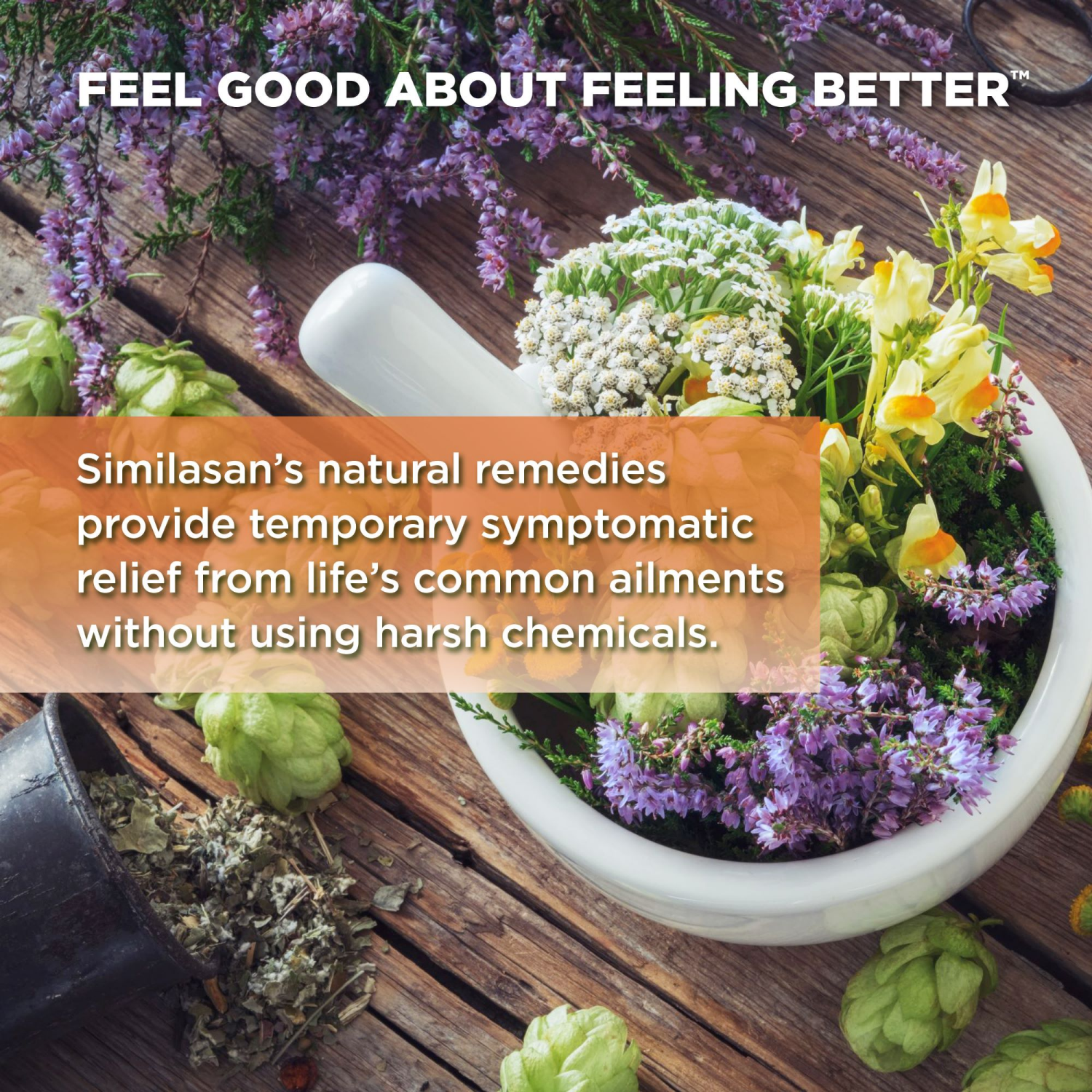 slide 4 of 7, Similasan Earache Relief, 0.33 fl oz